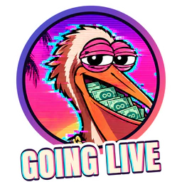 Pouch badge: going live